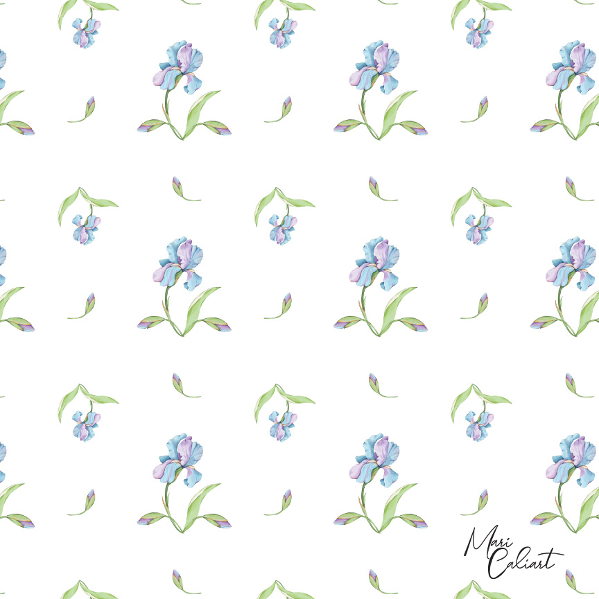 MC – Hydrangea and Iris Collection – 2102as © Mari Caliart