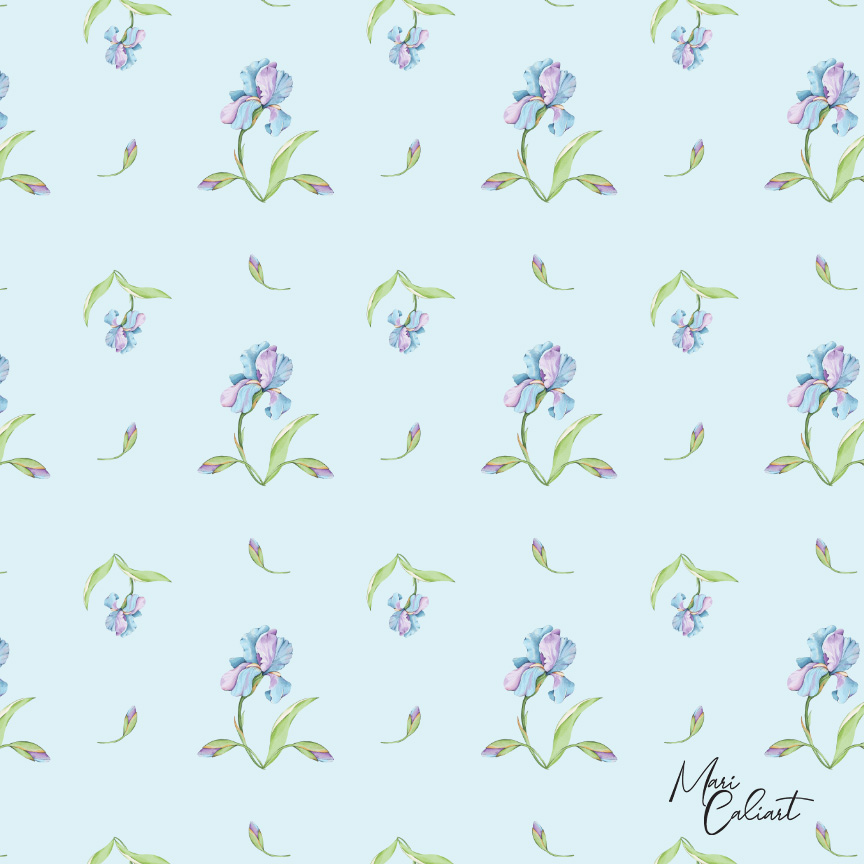 MC – Hydrangea and Iris Collection – 2102bs © Mari Caliart