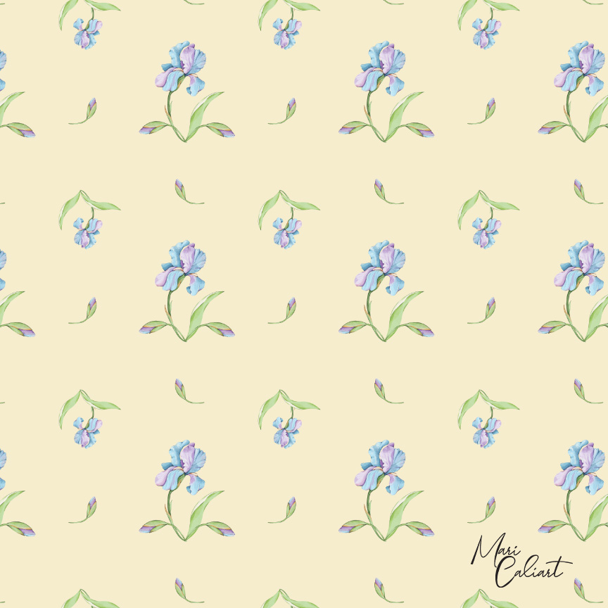 MC – Hydrangea and Iris Collection – 2102cs © Mari Caliart