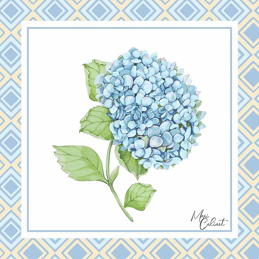 MC – Hydrangea and Iris Collection – 2107 © Mari Caliart