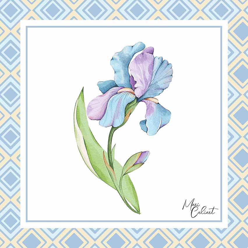 MC – Hydrangea and Iris Collection – 2108 © Mari Caliart