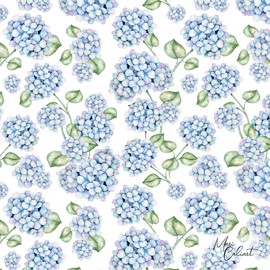 MC – Hydrangea and Tulips Collection – 0507as © Mari Caliart