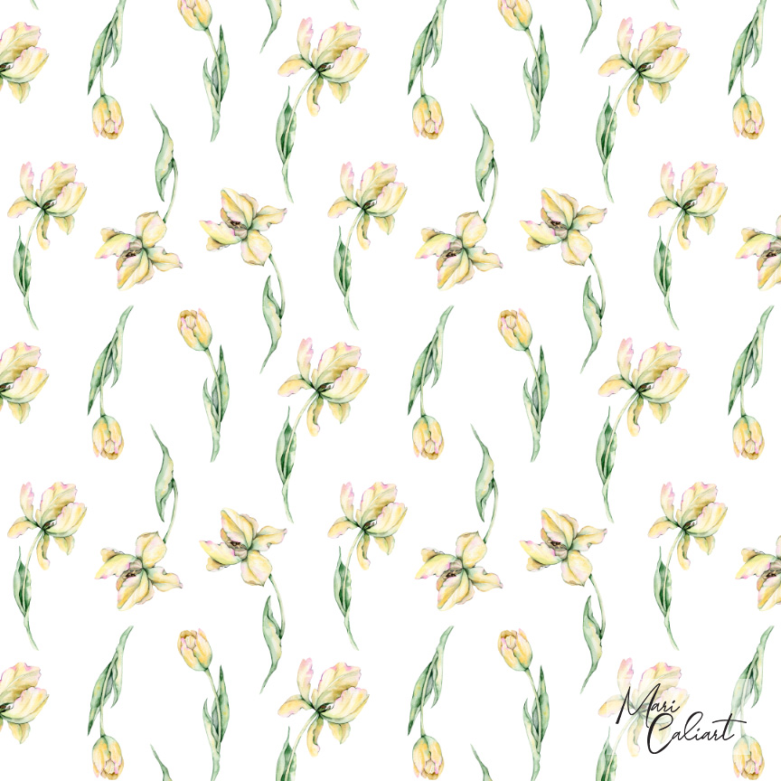 MC – Hydrangea and Tulips Collection – 0509as © Mari Caliart