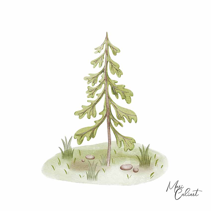 MC – Lake Lodge Collection 2522 © Mari Caliart