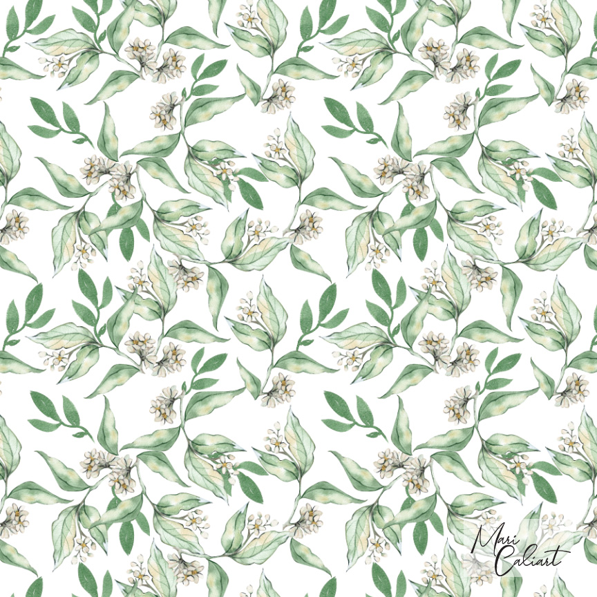 MC – Magnolia and Oranges Collection – 0604as © Mari Caliart