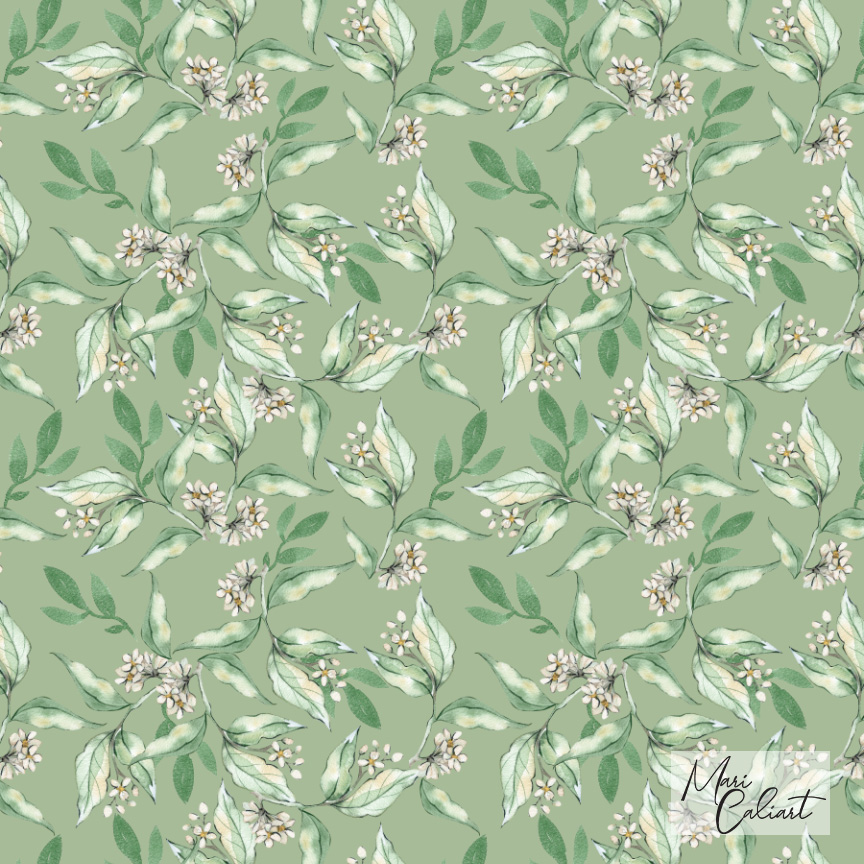 MC – Magnolia and Oranges Collection – 0604sc © Mari Caliart