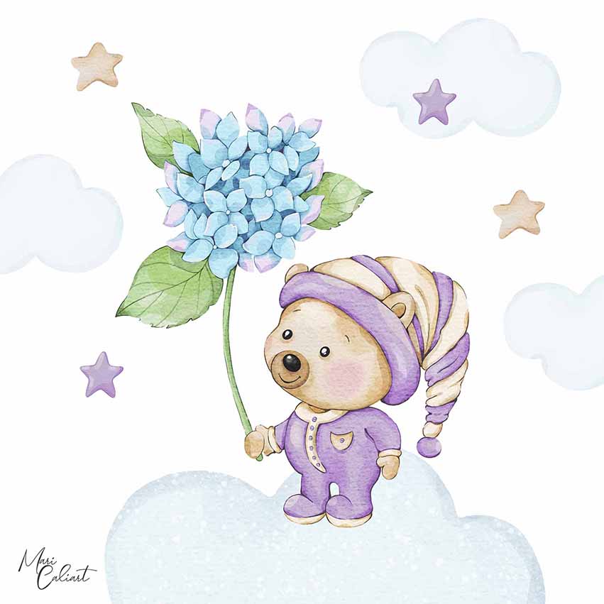 MC – Teddy Bear Collection – 1507a © Mari Caliart