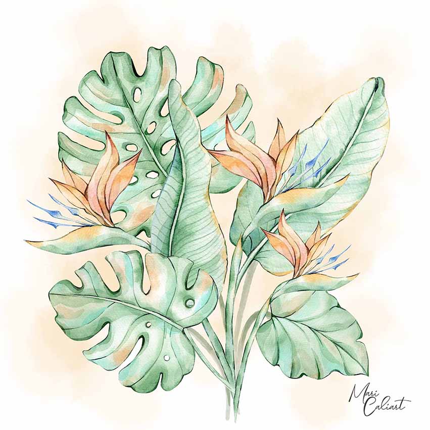 MC – Tropical Leaves Collection – 2411 © Mari Caliart