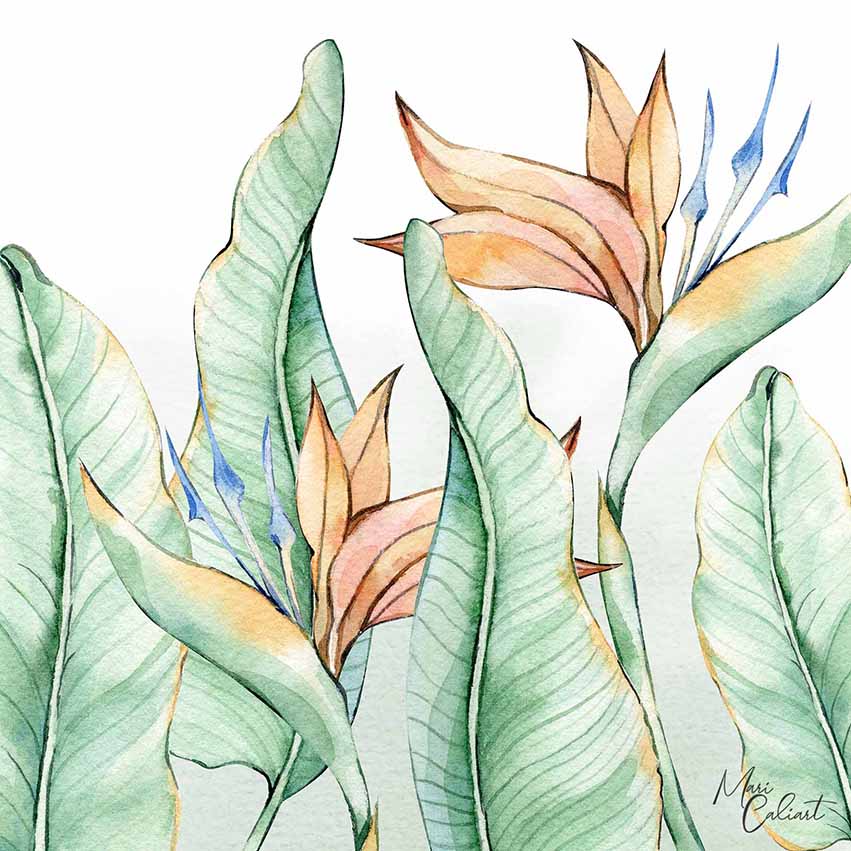MC – Tropical Leaves Collection – 2413 © Mari Caliart