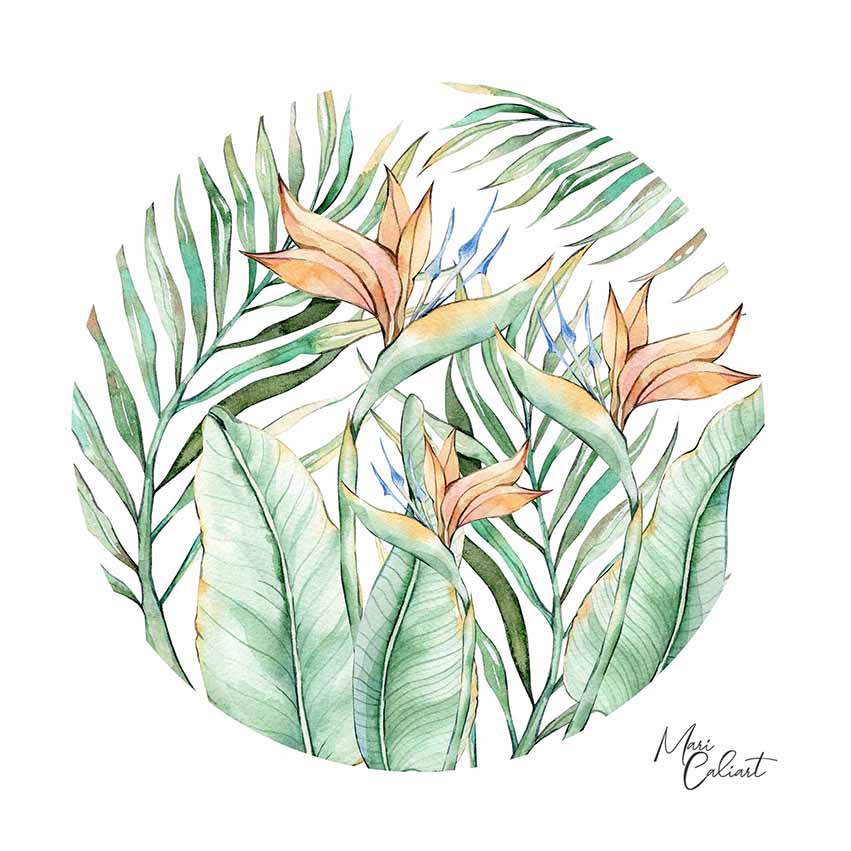 MC – Tropical Leaves Collection – 2414a © Mari Caliart