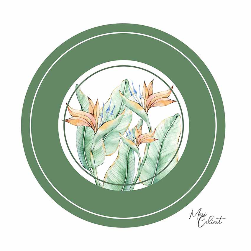 MC – Tropical Leaves Collection – 2417 © Mari Caliart